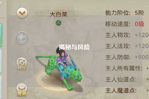 揭秘与风险