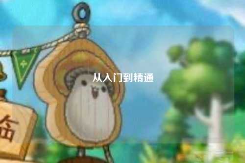 从入门到精通